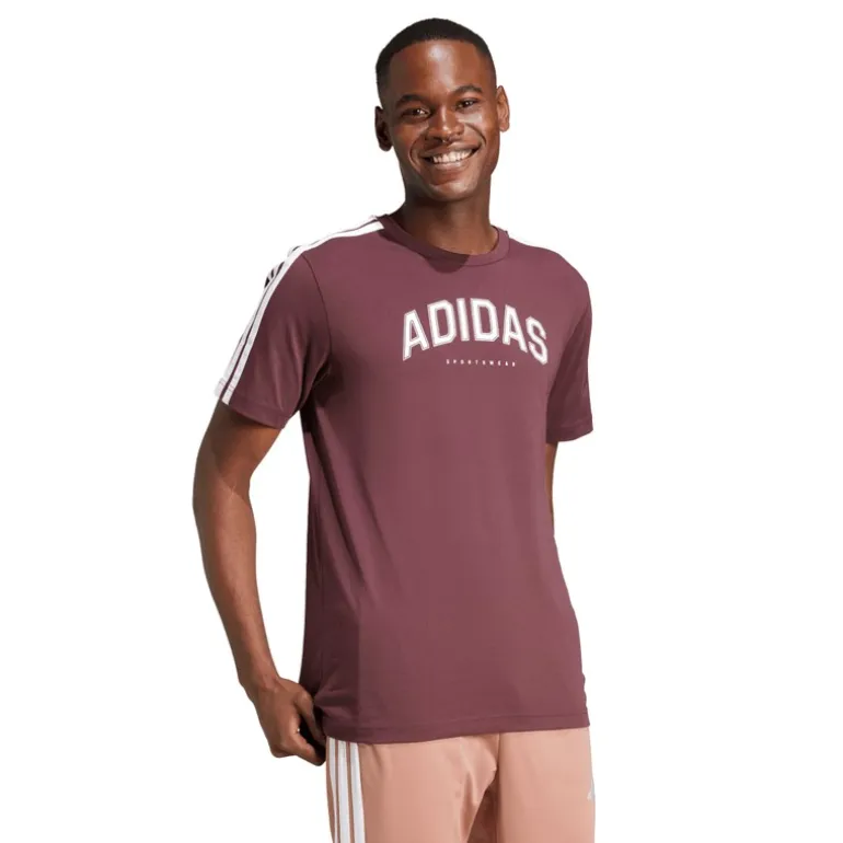adidas Herren Codes Collegiate Linear Grafik T Shirt Aurora Ruby