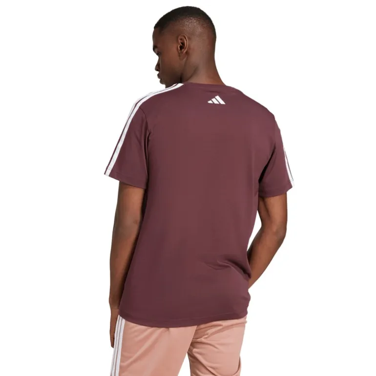 adidas Herren Codes Collegiate Linear Grafik T Shirt Aurora Ruby