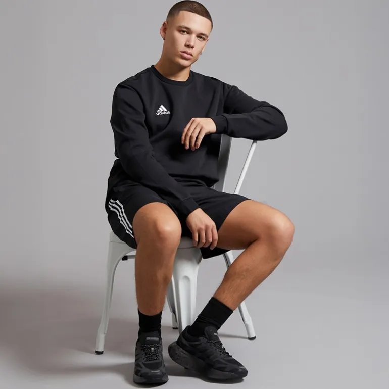 adidas Herren Entrada 22 Sweatshirt Schwarz