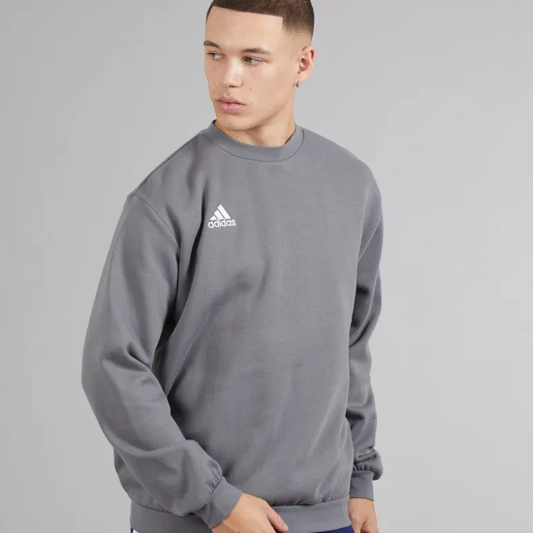adidas Herren Entrada 22 Sweatshirt Team Grey Four