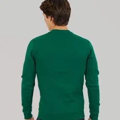 adidas Herren Essentials Rundhals Sweatshirt Collegiate Green