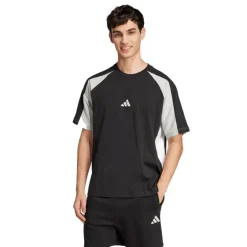 adidas Herren Saisonale Essentials Farbblock T Shirt Schwarz