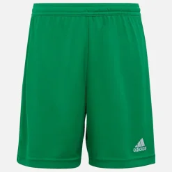 adidas Junior Junge Entrada 22 Shorts Team Green