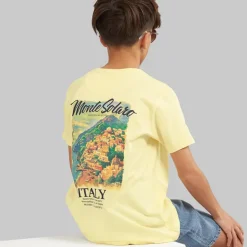Brave Soul Junge Solaro T Shirt Zitrone/Mehrfarbig Print