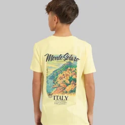 Brave Soul Junge Solaro T Shirt Zitrone/Mehrfarbig Print