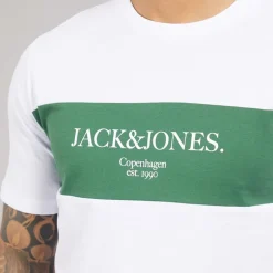 JACK & JONES Herren Chester T-Shirt und Shorts Set Trekking Green