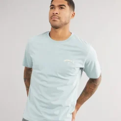 JACK & JONES Herren Santorini Back T-Shirts Grün