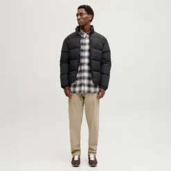 JACK & JONES Herren Stehkragen Steppjacke Schwarz