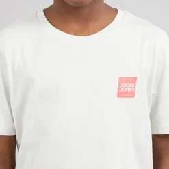 JACK & JONES Junge Brandy T Shirt und Shorts Set Glacier Gray