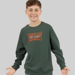 Name It Junge Byron Sweatshirt Urban Chic