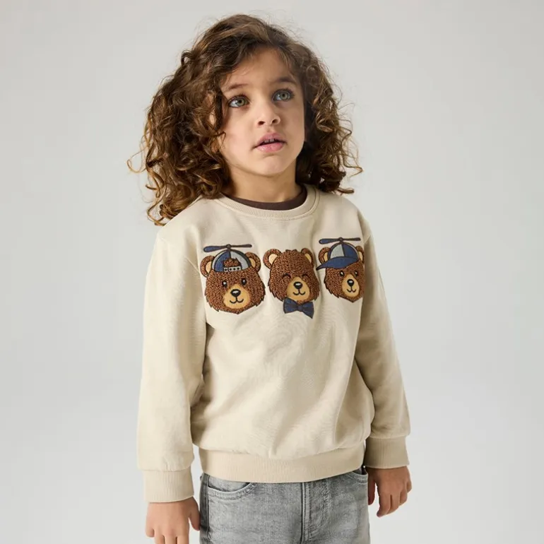 Name It Junge Mini Ditlef Sweatshirt Peyote