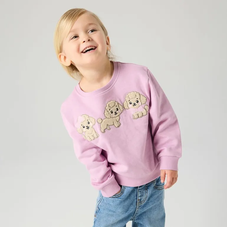 Name It Mädchen Dyveke Sweatshirt Mauve Mist