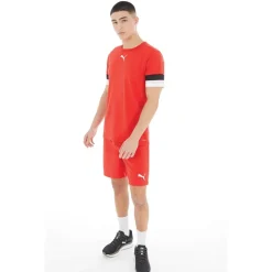 Puma Herren teamRISE Performance Sporttops Rot